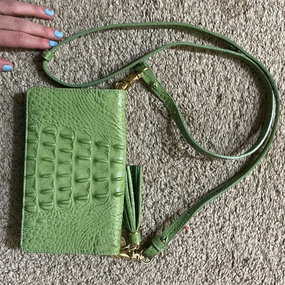 Green Brahmin